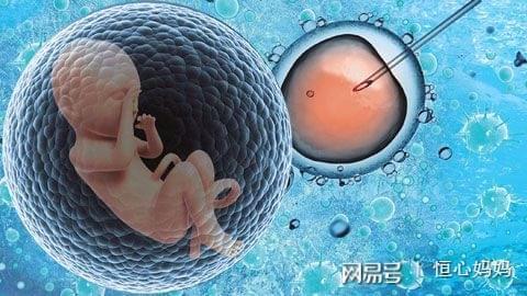 男性不育案例